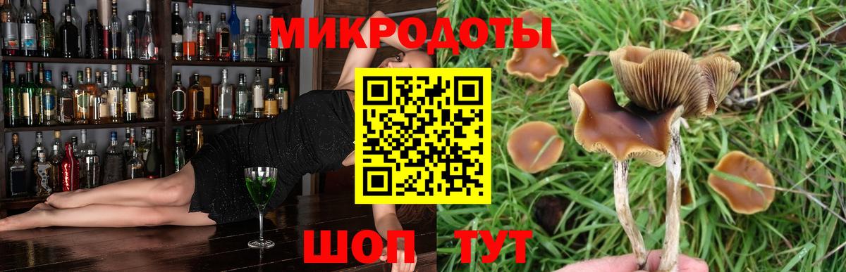Псилоцибиновые грибы Psilocybine cubensis Саянск