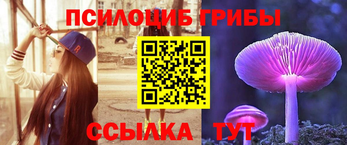 Саянск  Псилоцибиновые грибы GOLDEN TEACHER  Вход с VPN  купить   Псилоцибиновые грибы Psilocybine cubensis 